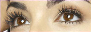 lashes_closeup.jpg